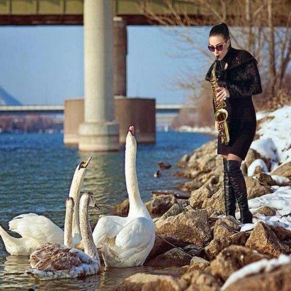 funny animals 15 14 600x600 Get Ready For Funny Animals – Part 21 (50 photos)