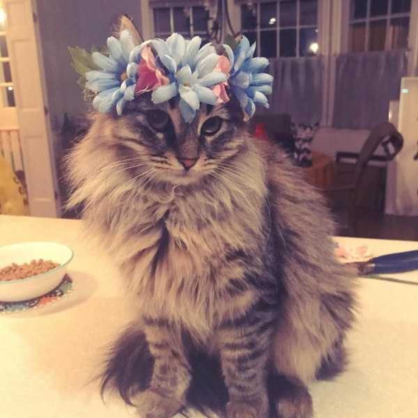 Get Ready For Funny Animals – Part 22 (45 photos)