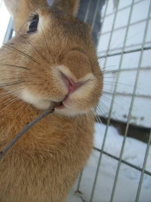 funny animals 18 17 600x801 Get Ready For Funny Animals – Part 24 (50 photos)