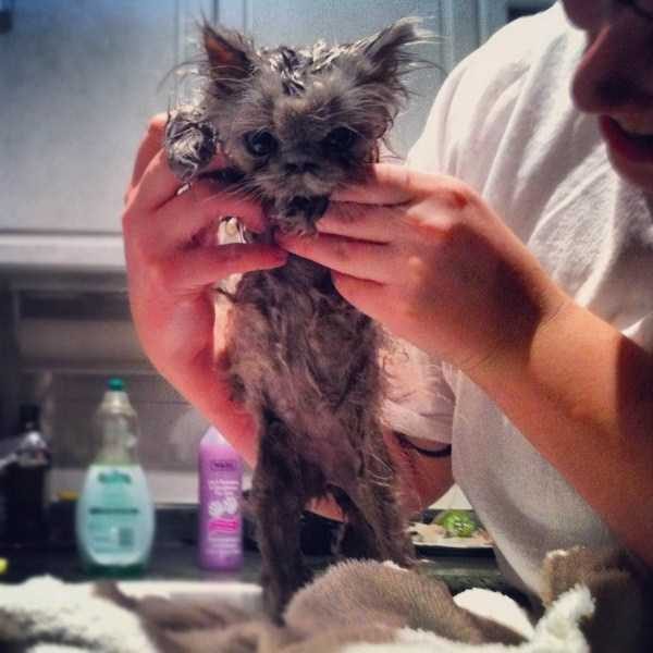 funny animals 19 13 600x600 Get Ready For Funny Animals – Part 20 (42 photos)