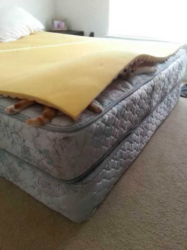 funny animals 20 17 600x800 Get Ready For Funny Animals – Part 24 (50 photos)