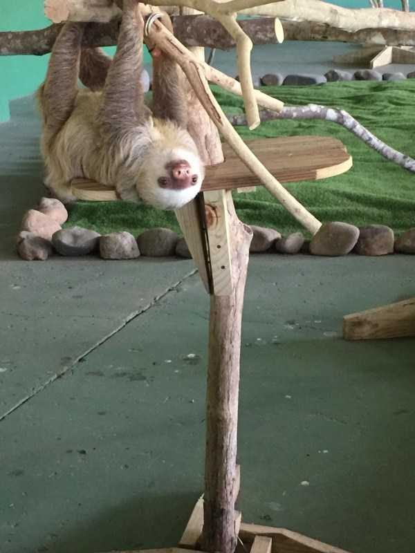 funny animals 20 5 600x800 Get Ready For Funny Animals – Part 12 (49 photos)