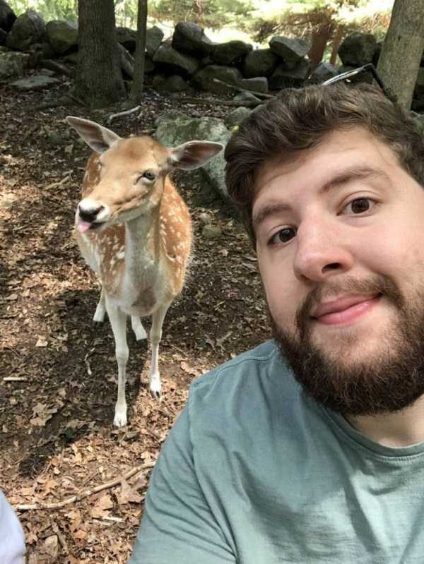 Get Ready For Funny Animals – Part 13 (46 photos)