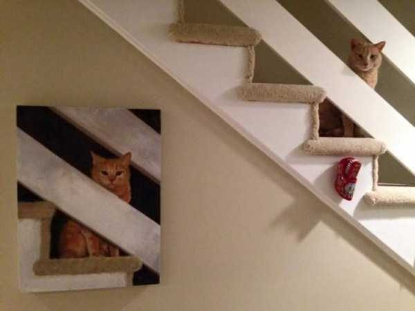 Get Ready For Funny Animals – Part 13 (46 photos)