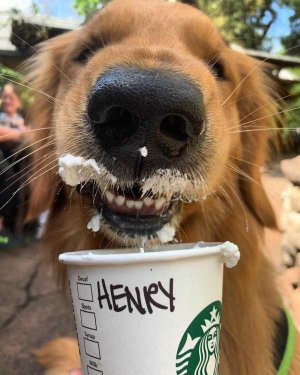 funny animals 26 14 600x750 Get Ready For Funny Animals – Part 21 (50 photos)