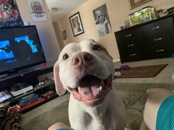 Get Ready For Funny Animals – Part 22 (45 photos)