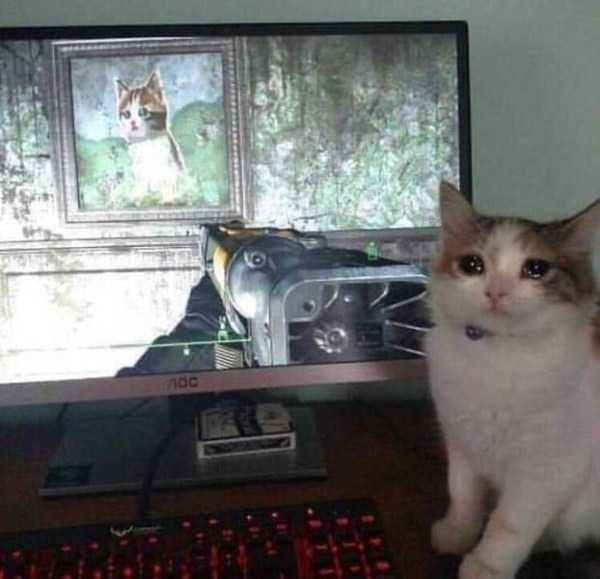 Get Ready For Funny Animals – Part 17 (44 photos)