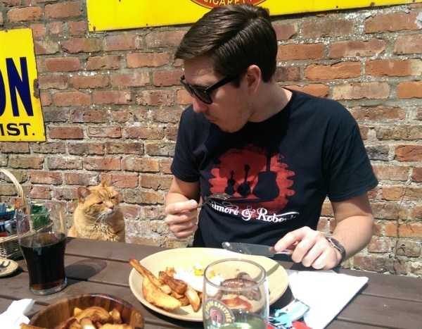 Get Ready For Funny Animals – Part 22 (45 photos)