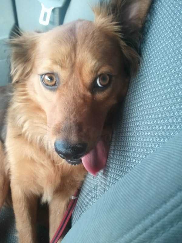 funny animals 30 14 600x800 Get Ready For Funny Animals – Part 21 (50 photos)