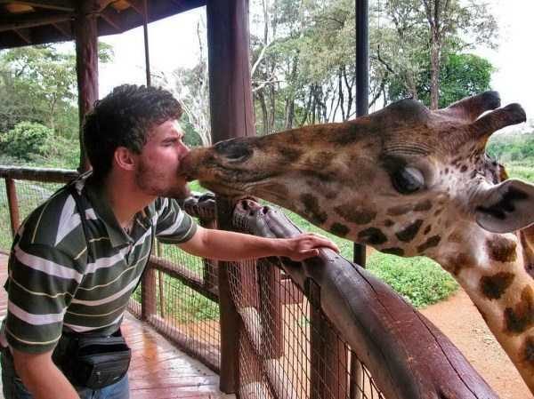 Get Ready For Funny Animals – Part 14 (42 photos)