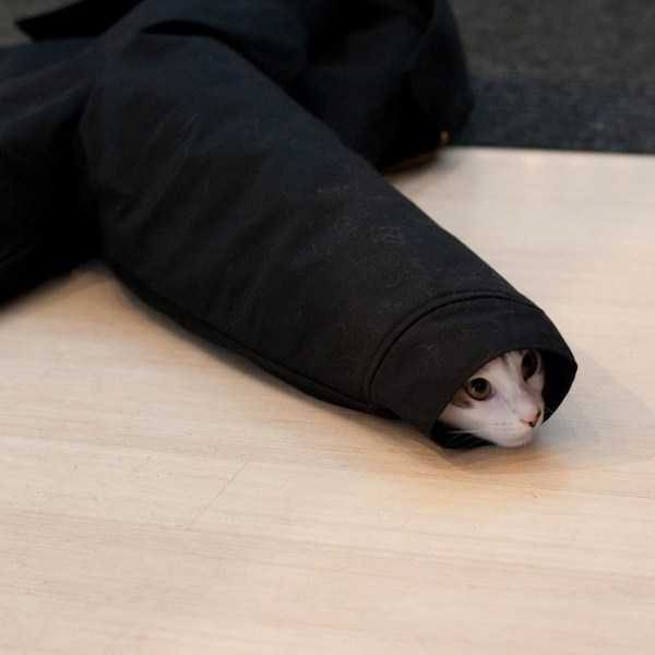 funny animals 36 5 600x600 Get Ready For Funny Animals – Part 12 (49 photos)