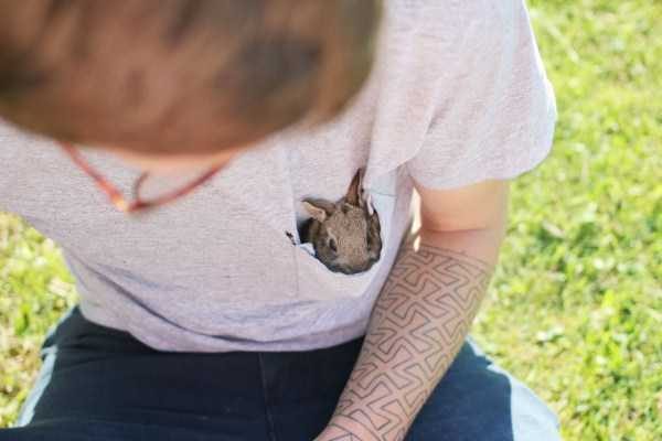 funny animals 37 5 600x400 Get Ready For Funny Animals – Part 12 (49 photos)