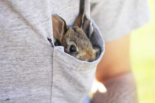 funny animals 38 5 600x400 Get Ready For Funny Animals – Part 12 (49 photos)