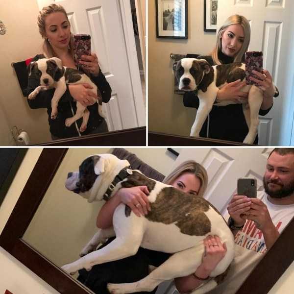 funny animals 39 17 600x600 Get Ready For Funny Animals – Part 24 (50 photos)