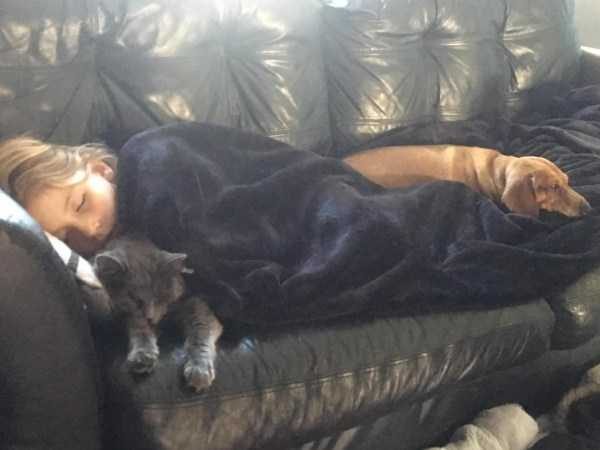 funny animals 4 17 600x450 Get Ready For Funny Animals – Part 24 (50 photos)