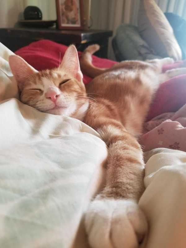 funny animals 47 5 600x800 Get Ready For Funny Animals – Part 12 (49 photos)