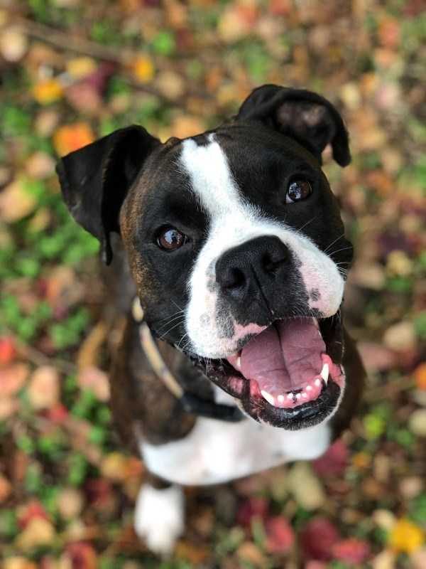 funny animals 48 5 600x800 Get Ready For Funny Animals – Part 12 (49 photos)