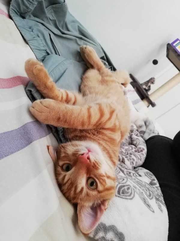 funny animals 49 5 600x800 Get Ready For Funny Animals – Part 12 (49 photos)