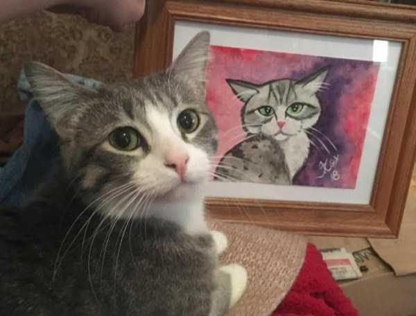 Get Ready For Funny Animals – Part 17 (44 photos)