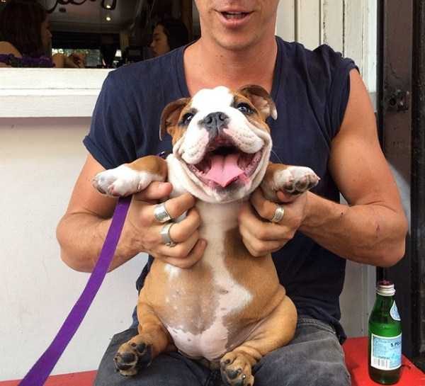 funny animals 7 13 600x545 Get Ready For Funny Animals – Part 20 (42 photos)