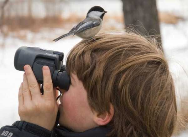 Get Ready For Funny Animals – Part 22 (45 photos)