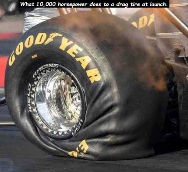 47 Random Pictures With Captions (47 photos)