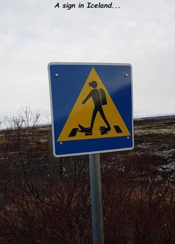 47 Random Pictures With Captions (47 photos)