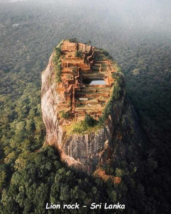 47 Random Pictures With Captions (47 photos)