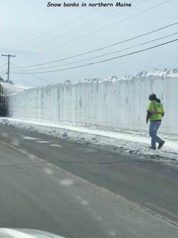 47 Random Pictures With Captions (47 photos)