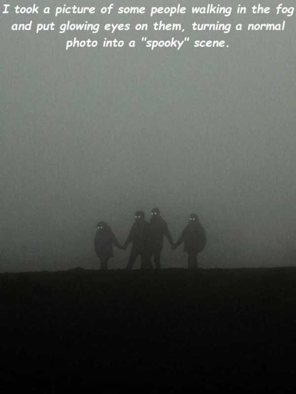 47 Random Pictures With Captions (47 photos)