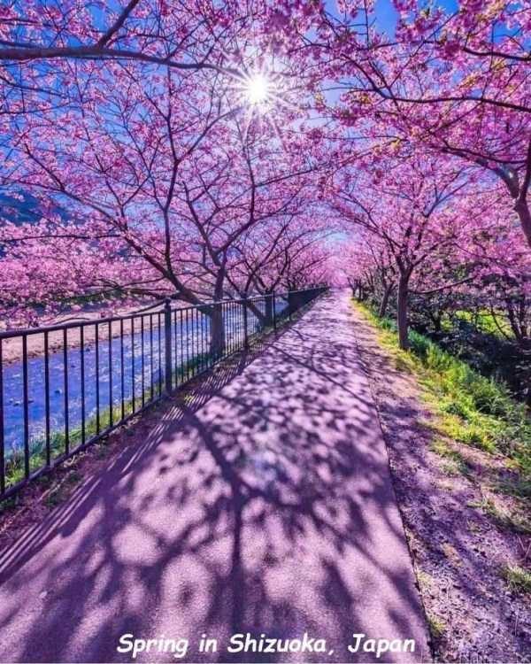 47 Random Pictures With Captions (47 photos)