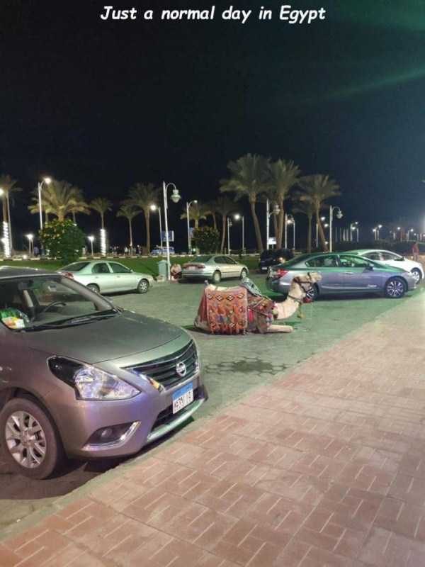 47 Random Pictures With Captions (47 photos)