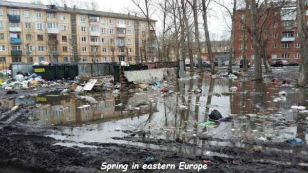 47 Random Pictures With Captions (47 photos)