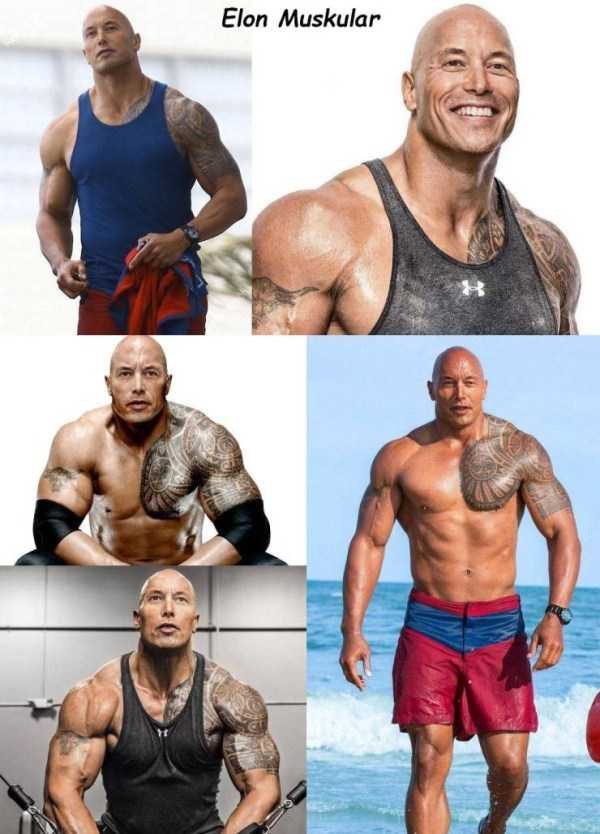 47 Random Pictures With Captions (47 photos)