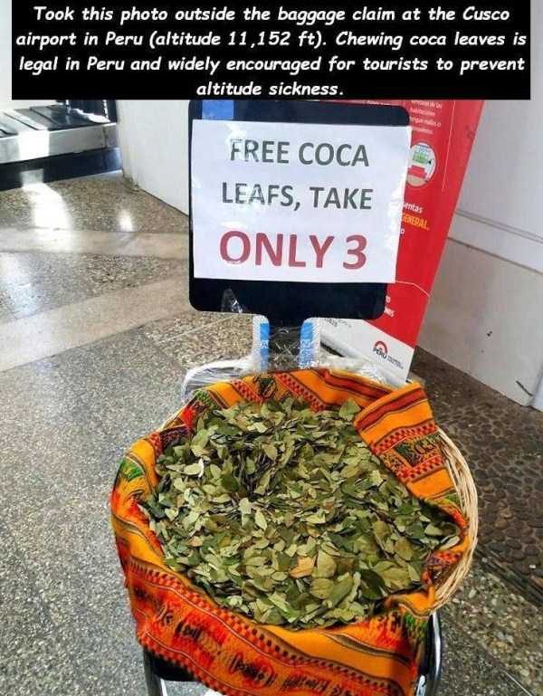 47 Random Pictures With Captions (47 photos)