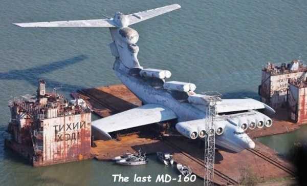 47 Random Pictures With Captions (47 photos)