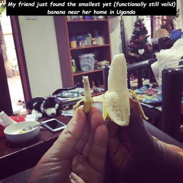 47 Random Pictures With Captions (47 photos)