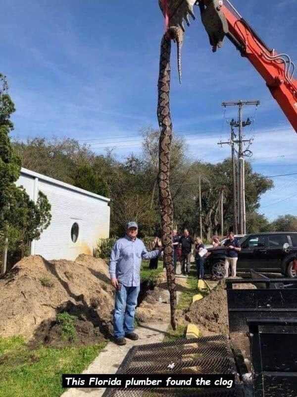 47 Random Pictures With Captions (47 photos)