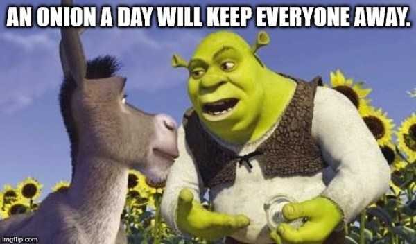 50 More Deep Shower Thoughts (50 photos)