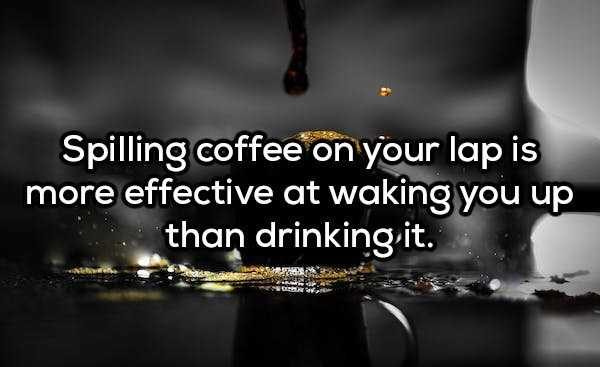 50 More Deep Shower Thoughts (50 photos)