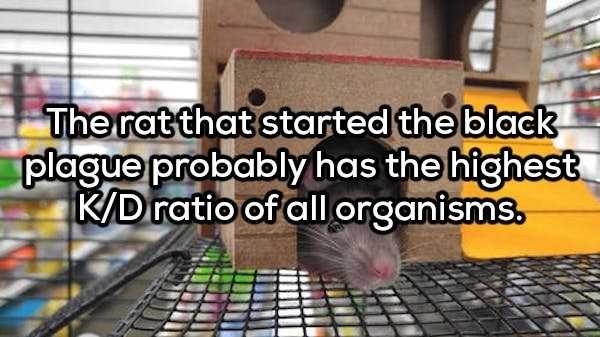 50 More Deep Shower Thoughts (50 photos)