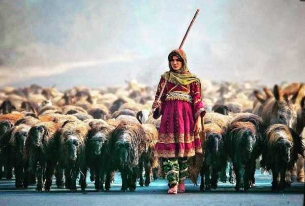 Klyker Picdump (133 photos)