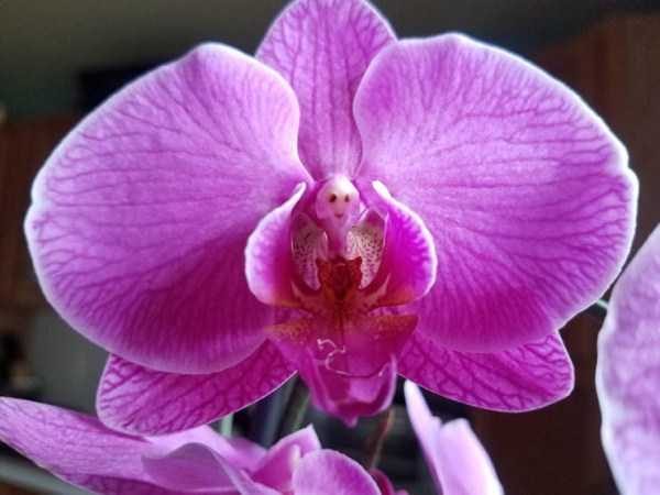 Klyker Picdump (133 photos)