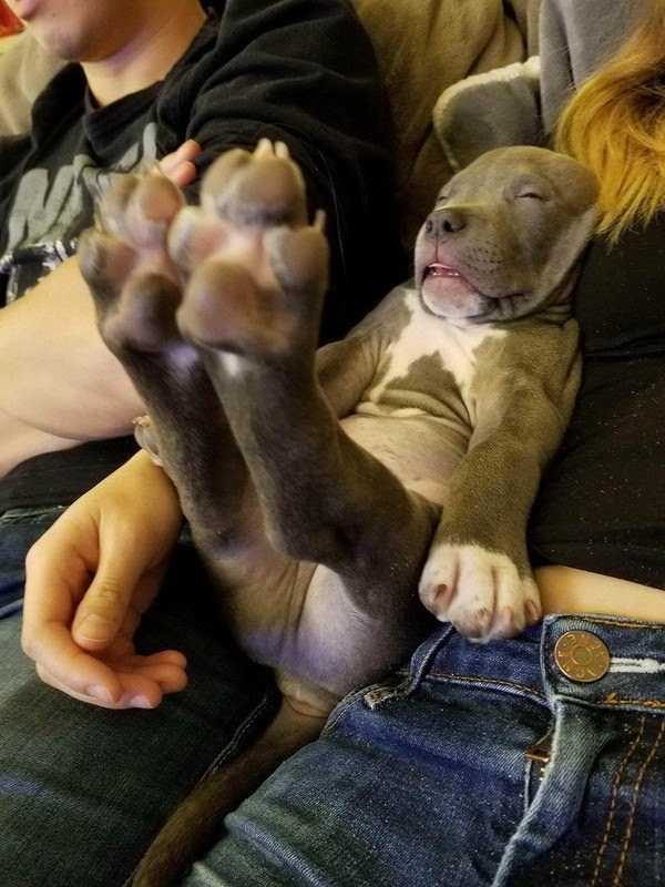 klyker funny picdump 10 4 600x800 Klyker Picdump (136 photos)