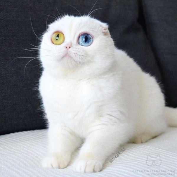 klyker funny picdump 102 14 600x600 Klyker Picdump (134 photos)