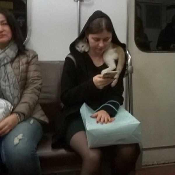 klyker funny picdump 104 14 600x600 Klyker Picdump (134 photos)