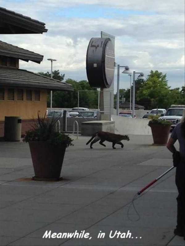 Klyker Picdump (127 photos)