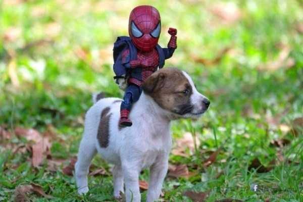 Klyker Picdump (133 photos)