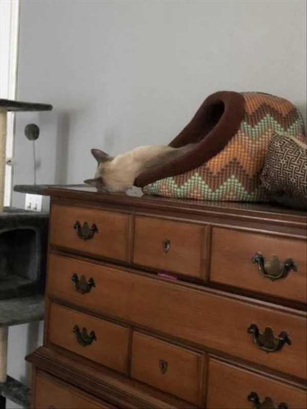 klyker funny picdump 106 15 600x800 Klyker Picdump (152 photos)