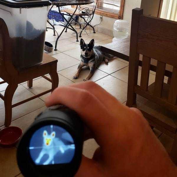 Klyker Picdump (133 photos)